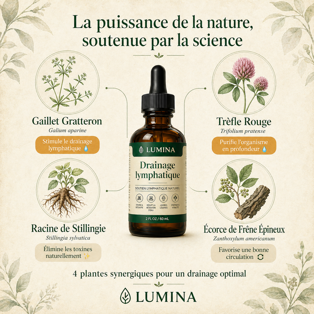Lumina™ - Cure Légèreté 4 Plantes