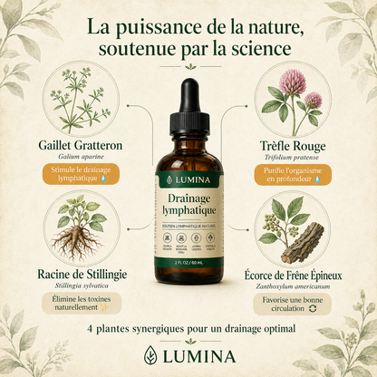 Lumina™ - Cure Légèreté 4 Plantes
